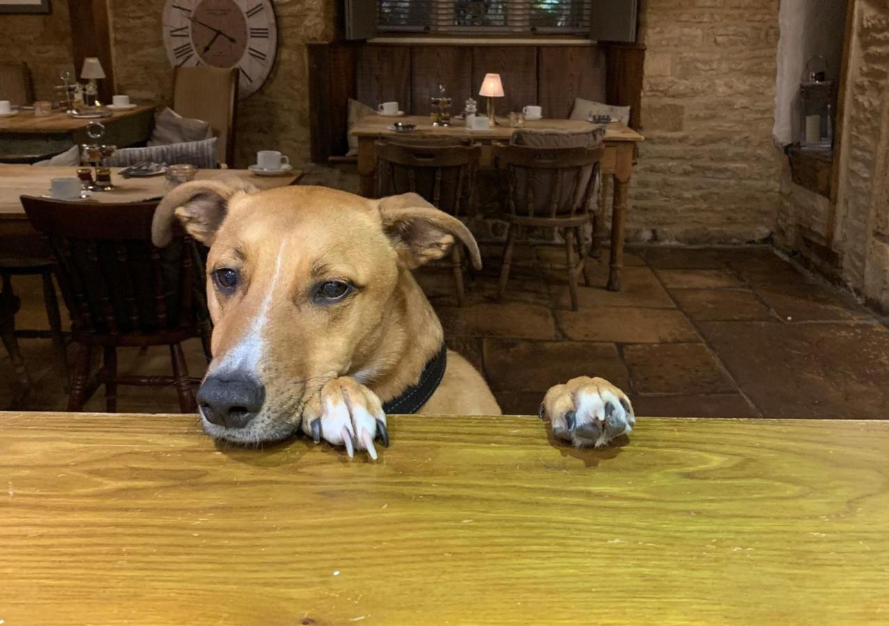 The Horse & Groom Stow-on-the-Wold Exteriör bild